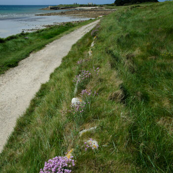 Fotografia zatytułowany „L'île de Sieck 8.” autorstwa Thierry Martin, Oryginalna praca, Fotografia cyfrowa