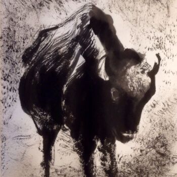 Disegno intitolato "Bison d'encre" da Thomas Rodet, Opera d'arte originale, Inchiostro