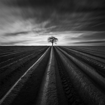 Fotografía titulada "The Furrows" por Tomáš Tisoň, Obra de arte original, Fotografía digital