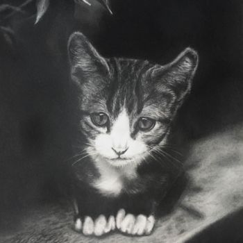 Drawing titled "Cat on the wall" by Everton Tolentino, Original Artwork, Pencil
