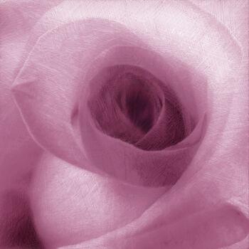 Arte digital titulada "Pink Rose" por Tony Rubino, Obra de arte original, Pintura Digital