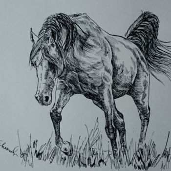 Rysunek zatytułowany „Horse 13” autorstwa Katerina Evgenieva, Oryginalna praca, Atrament