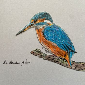 Drawing titled "Martin pêcheur" by Christelle Hayez, Original Artwork, Pencil