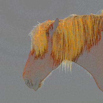 Fotografie mit dem Titel "Horse 1" von Ulli Heupel, Original-Kunstwerk