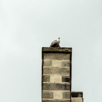 Photography titled "Cheminées en France…" by Ulli Heupel, Original Artwork