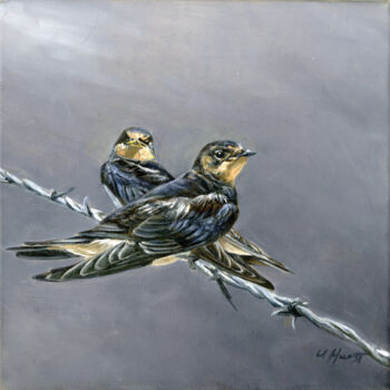 Painting titled "Swallows Hirundo ru…" by Una Hurst, Original Artwork, Oil Mounted on Wood Stretcher frame