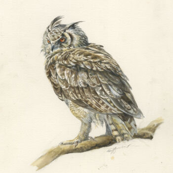 Картина под названием "Long-eared owl Asio…" - Una Hurst, Подлинное произведение искусства, Акварель