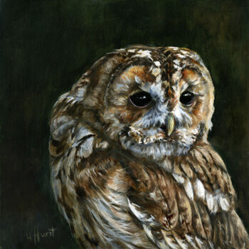 Картина под названием "Tawny owl Strix alu…" - Una Hurst, Подлинное произведение искусства, Масло Установлен на Деревянная р…