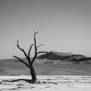 摄影 标题为“Namib Desert-0703-SW” 由Uwe Bauch, 原创艺术品, 数码摄影