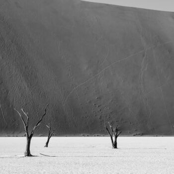 Fotografia intitolato "Namib Desert-0672-SW" da Uwe Bauch, Opera d'arte originale, Fotografia digitale