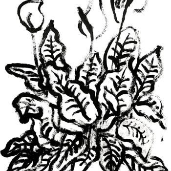 Σχέδιο με τίτλο "Calla" από Vaenaton, Αυθεντικά έργα τέχνης, Ακρυλικό