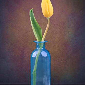 Fotografía titulada "tulip flower" por Val Thoermer, Obra de arte original, Fotografía digital
