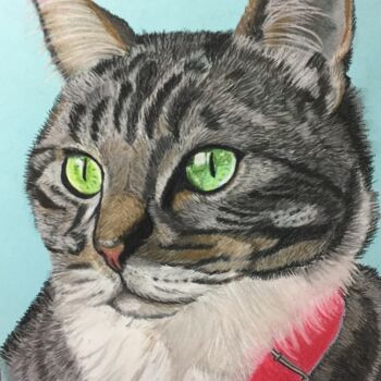 Drawing titled "Chat" by Valerie Lefebvre, Original Artwork, Pastel