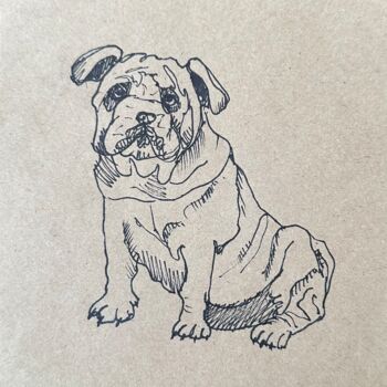 Drawing titled "English bulldog" by Valeriia Prasol, Original Artwork, Ink