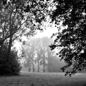 Fotografía titulada "Foggy Forest" por Vanja Rosenthal, Obra de arte original, Fotografía digital