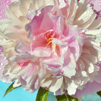 「Flower_12174」というタイトルの写真撮影 Michael Vdovinによって, オリジナルのアートワーク, デジタル