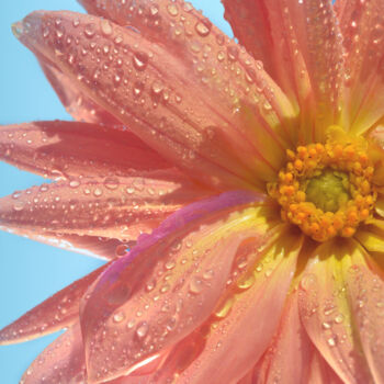 Photography titled "Flowerissimo_14593" by Michael Vdovin, Original Artwork, Digital Photography
