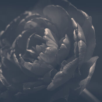 Fotografía titulada "Flowerissimo_10342" por Michael Vdovin, Obra de arte original, Fotografía digital
