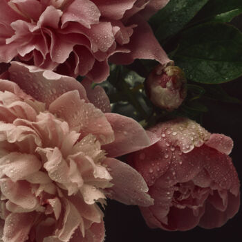 Fotografia intitulada "Flowerissimo_13694" por Michael Vdovin, Obras de arte originais, Fotografia digital