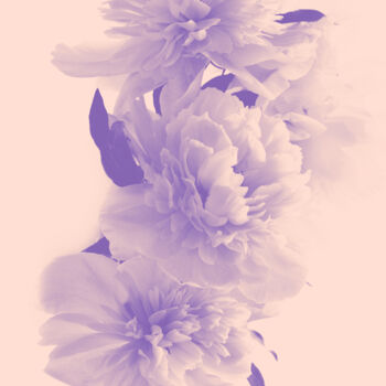 Photography titled "Flowerissimo_17139" by Michael Vdovin, Original Artwork, Digital Photography