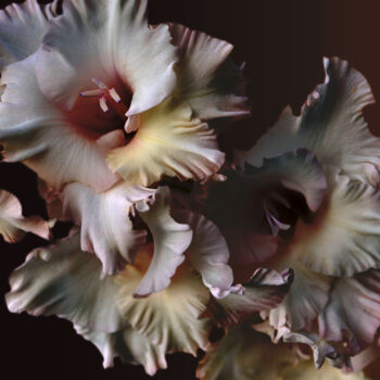 Photography titled "Flowerissimo_18268" by Michael Vdovin, Original Artwork, Digital Photography