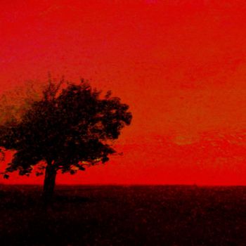 Arte digitale intitolato "Tree in red" da Viajacobi, Opera d'arte originale, Pittura digitale