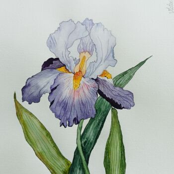 "Iris violet" başlıklı Tablo Victoria Girerd tarafından, Orijinal sanat, Suluboya