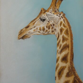 Rysunek zatytułowany „Giraffe” autorstwa Victoria Richters, Oryginalna praca, Pastel