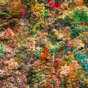 "Wall of Nature LXIX" başlıklı Fotoğraf Viet Ha Tran tarafından, Orijinal sanat, Dijital Fotoğrafçılık
