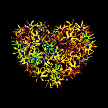 Fotografía titulada "Flower heart" por Viktor Artemev, Obra de arte original, Fotografía digital