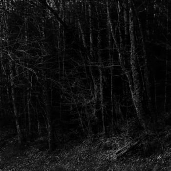 Fotografia intitolato "forêt" da Vincent Frediani, Opera d'arte originale, Fotografia digitale