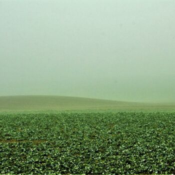 Photography titled "Vert campagne" by Virginie Dartois, Original Artwork, Digital Photography