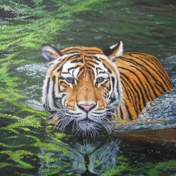 제목이 "Tigre en pantano"인 미술작품 V.Oña로, 원작, 기름 나무 들것 프레임에 장착됨