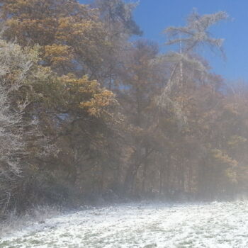 Photographie intitulée "Herbstschnee 3" par Asupta, Œuvre d'art originale, Photographie numérique