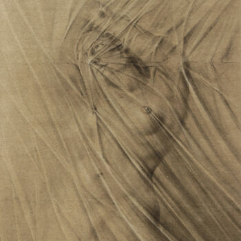 图画 标题为“En toute transparen…” 由William Castaño, 原创艺术品, 木炭