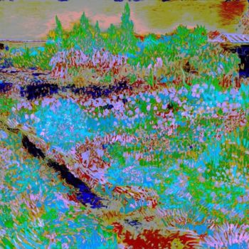 Arts numériques intitulée "Vincent_van_Gogh_-_…" par Mark Pettinelli, Œuvre d'art originale, Peinture numérique
