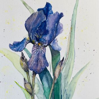 Peinture intitulée "Iris 2" par Yanina Kalinichenko, Œuvre d'art originale, Aquarelle