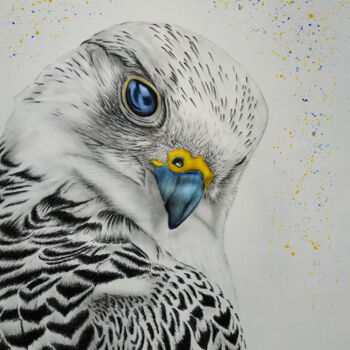 "Falcon look" başlıklı Tablo Yaroslav Teslenko tarafından, Orijinal sanat, Akrilik