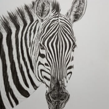 "Zebra" başlıklı Tablo Yaroslav Teslenko tarafından, Orijinal sanat, Petrol