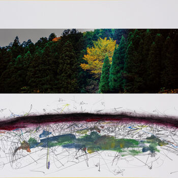 Fotografia intitolato "Turbulence in Kyoto…" da Yasuo Kiyonaga, Opera d'arte originale, Fotografia digitale Montato su Carto…