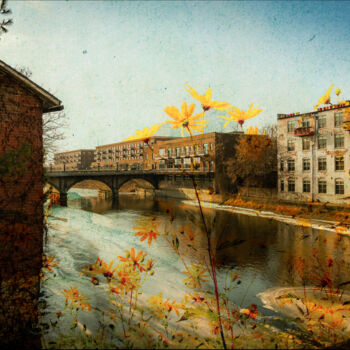 Photography titled "Fox River Daisies" by Yasmine Rafii, Original Artwork, Manipulated Photography