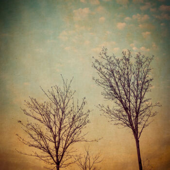 Photography titled "Two Trees" by Yasmine Rafii, Original Artwork, Manipulated Photography