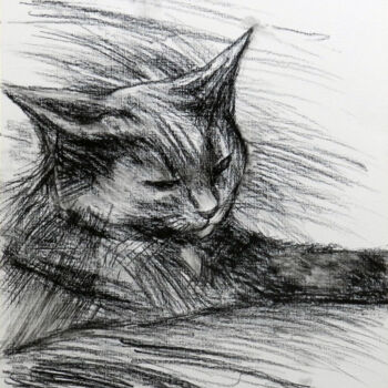 Рисунок под названием "Cat №2" - Yury Smirnov, Подлинное произведение искусства, Древесный уголь