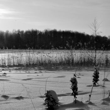 Fotografia zatytułowany „frost” autorstwa Zhenya Kraynova (J.K), Oryginalna praca