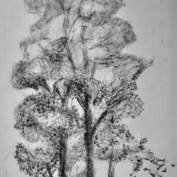 Disegno intitolato "Arbre" da Zoé Valy, Opera d'arte originale, Carbone Montato su Cartone