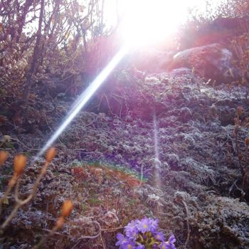 Photography titled "Spring time or firs…" by Zoriana Rypan, Original Artwork