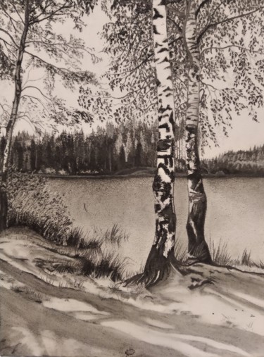 Painting titled "Юкки. Берег озера." by Vera Volkova, Original Artwork, Charcoal