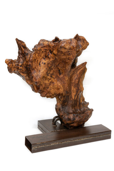 Skulptur mit dem Titel "Testa di toro (da f…" von A-Design-A, Original-Kunstwerk, Holz
