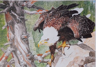 Рисунок под названием "Гордая птица" - Александр Хабло, Подлинное произведение искусства, Цветные карандаши