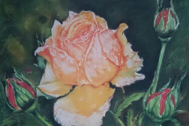 Σχέδιο με τίτλο "Расцвет розы" από Александр Хабло, Αυθεντικά έργα τέχνης, Παστέλ
